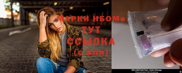 дживик Надым