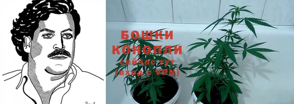 крисы Билибино