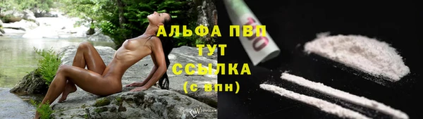 дживик Надым