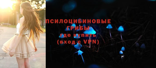 дживик Надым