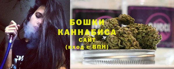 дживик Надым