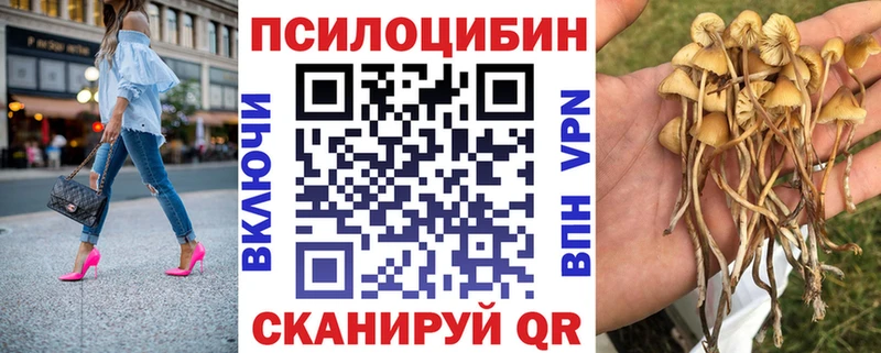 Галлюциногенные грибы Psilocybine cubensis  Инсар 